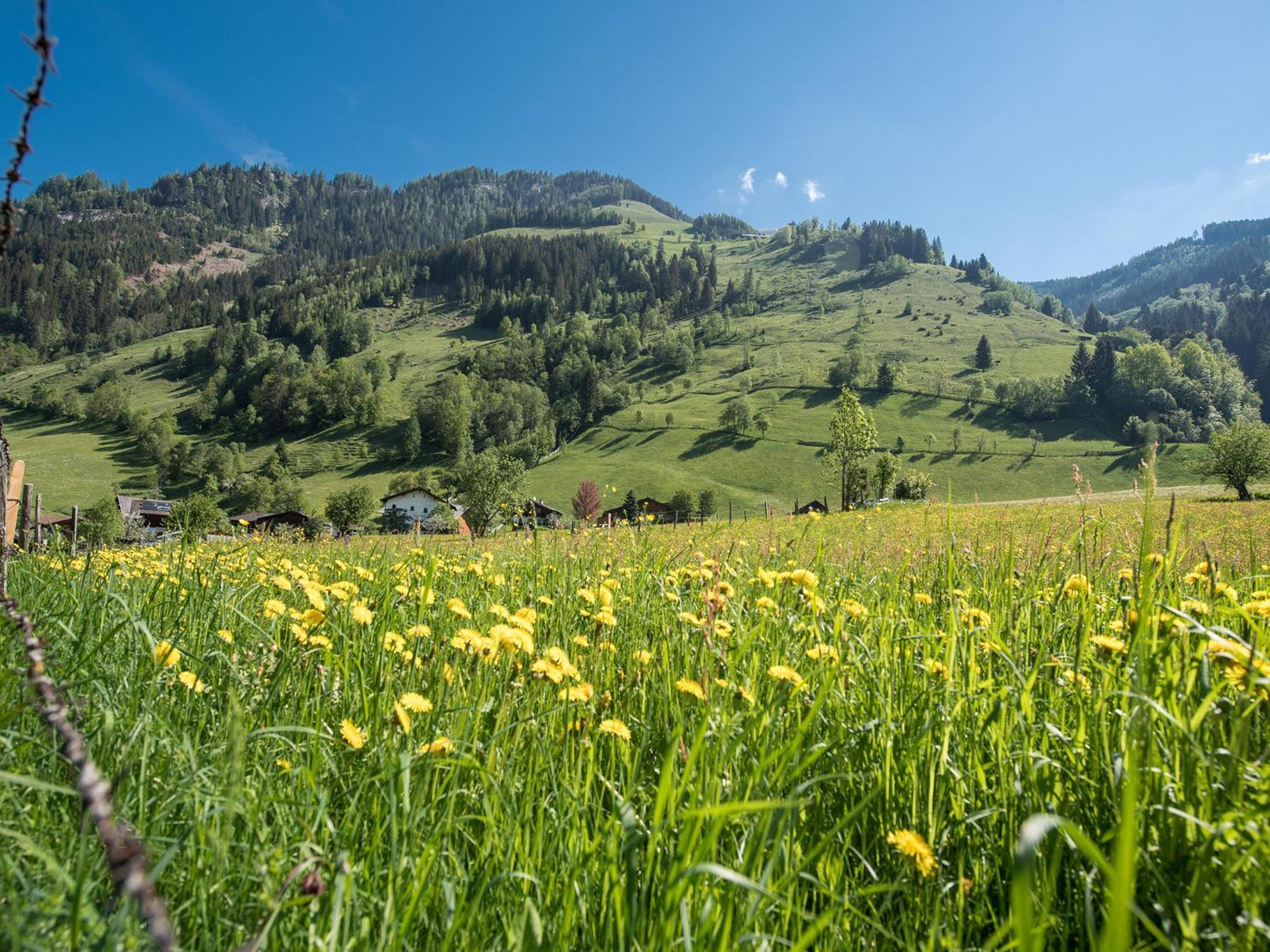 Appartement-Pension Fahrnberggut Rauris Exteriér fotografie