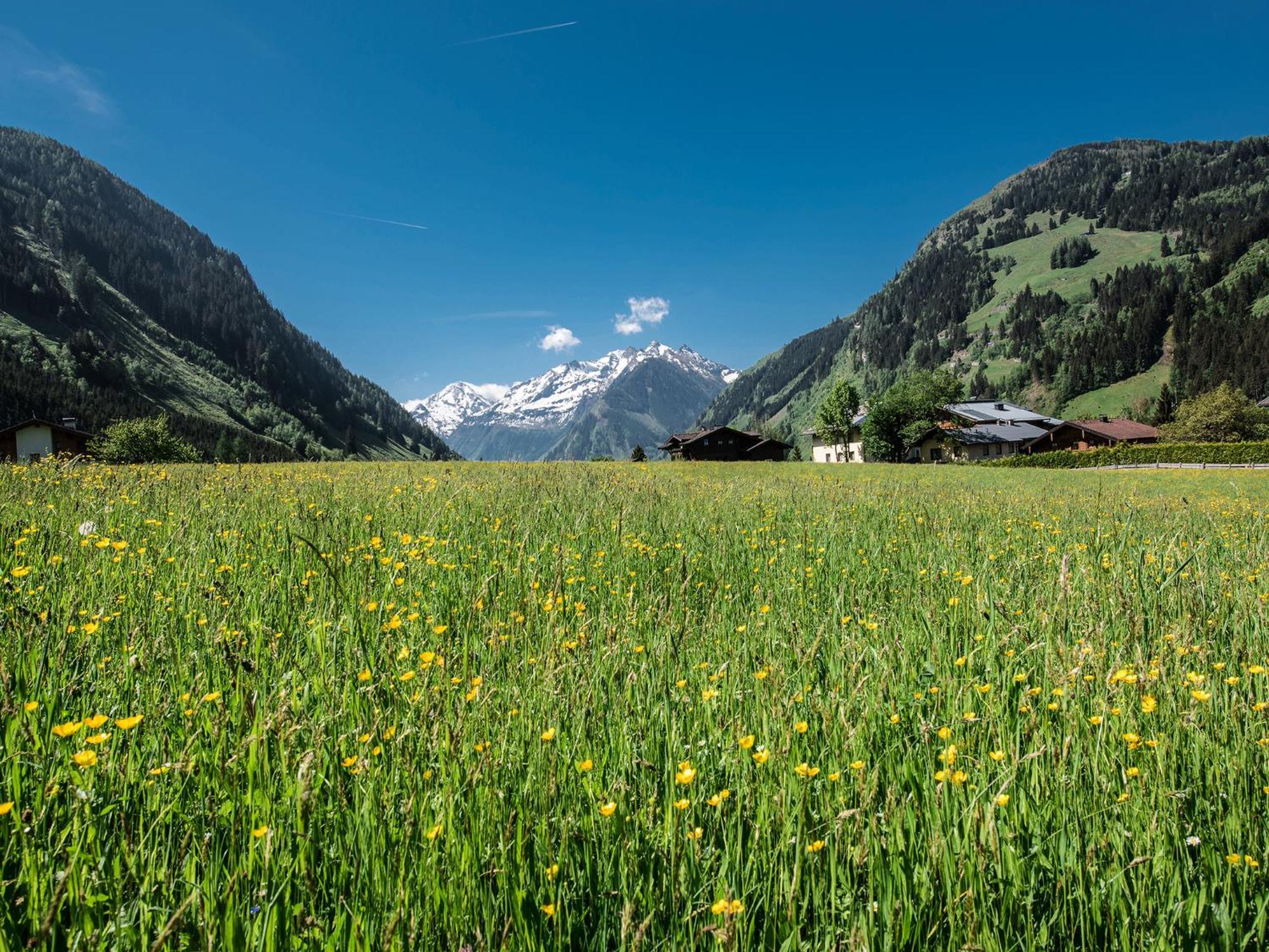 Appartement-Pension Fahrnberggut Rauris Exteriér fotografie